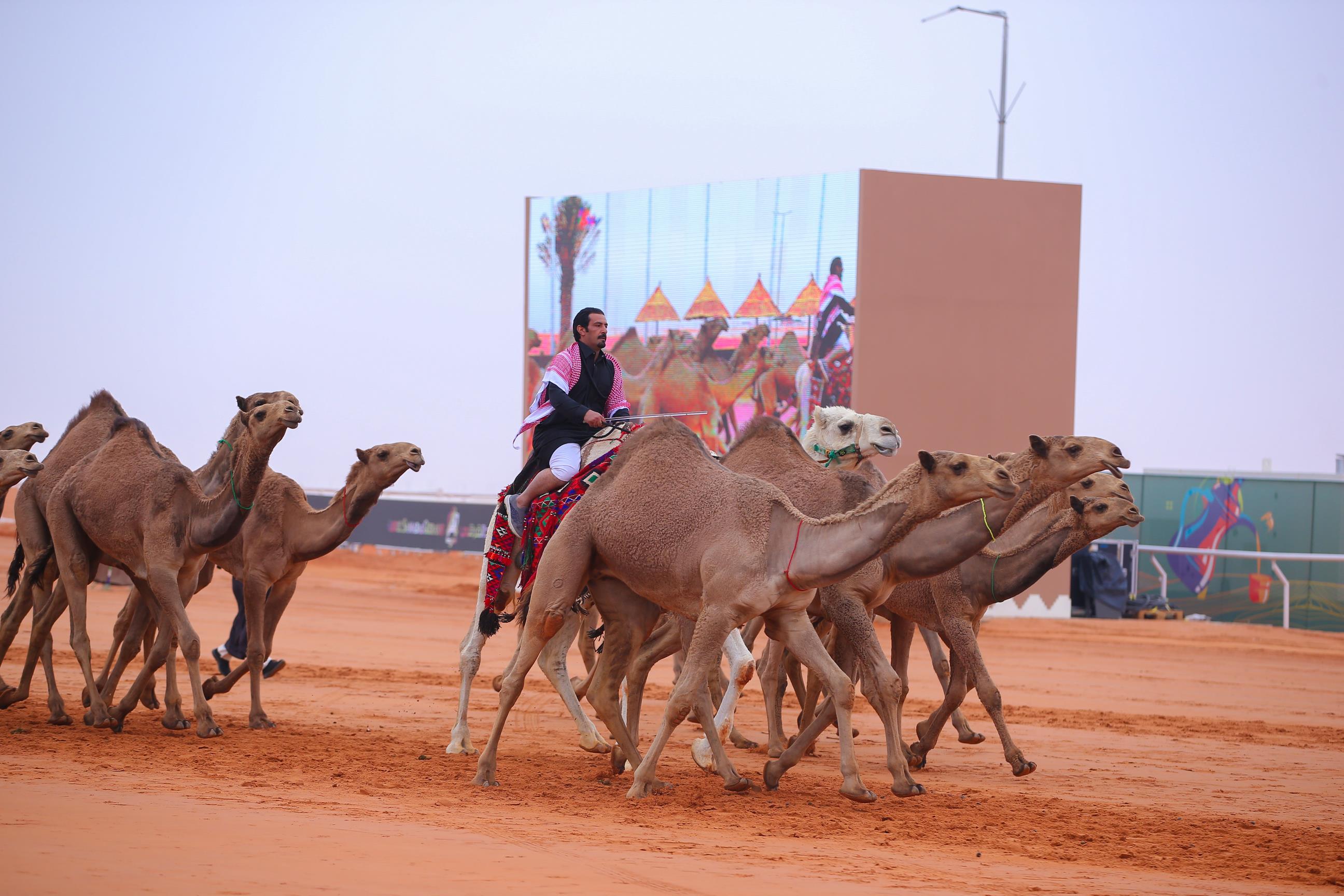 صورة الخبر