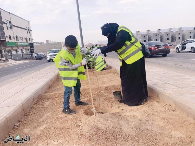 صورة الخبر