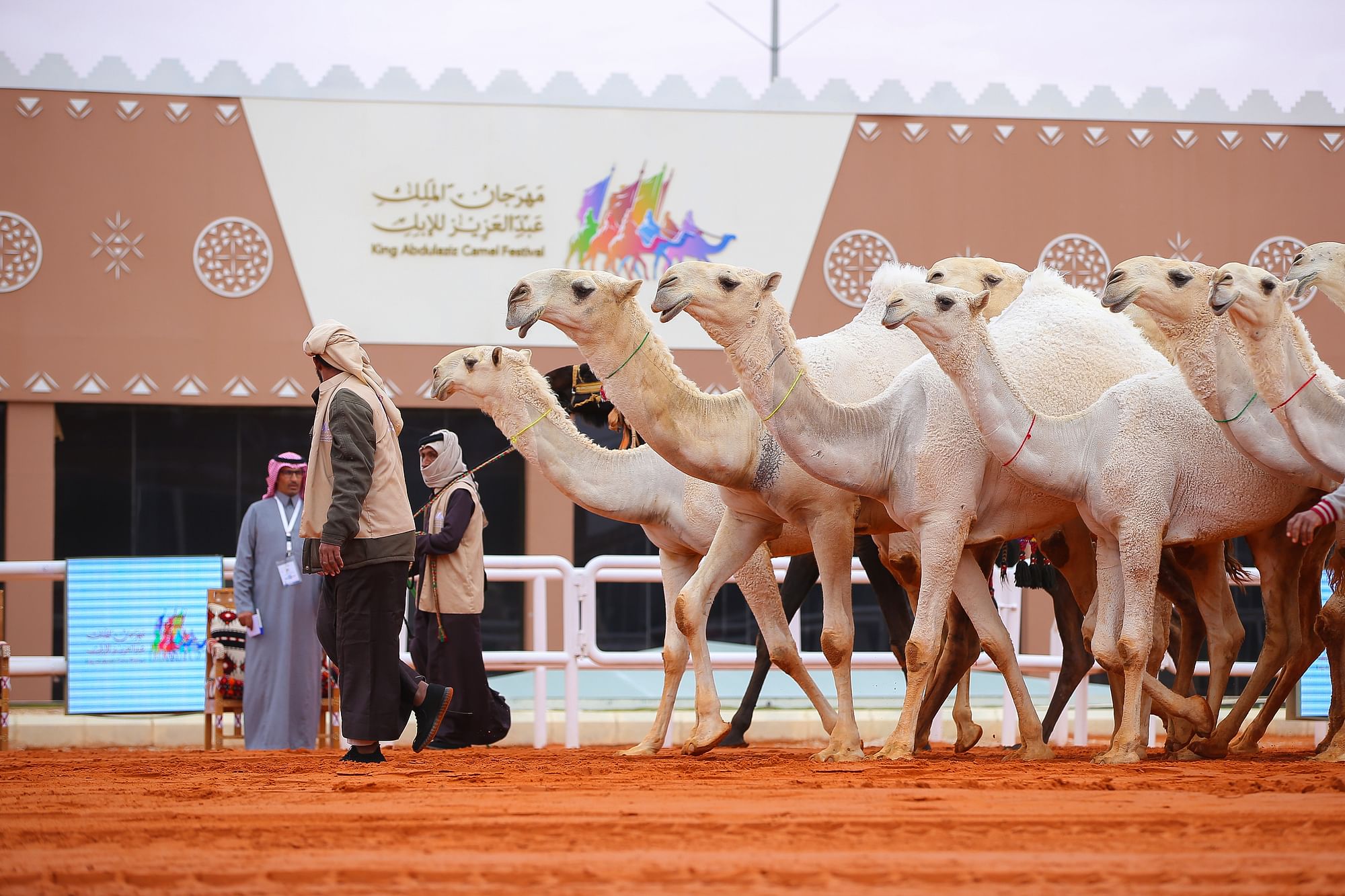 صورة الخبر