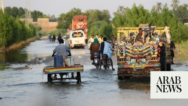 صورة الخبر