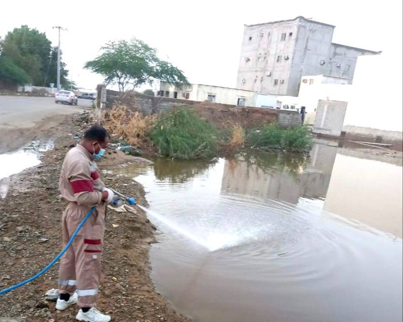 صورة الخبر