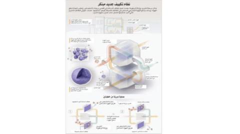 صورة الخبر