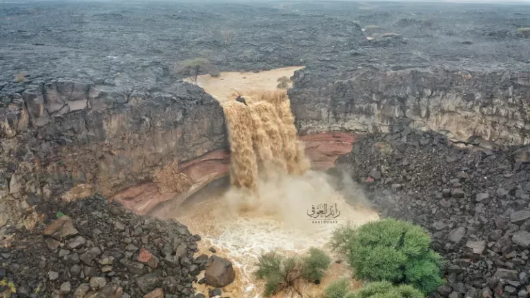 صورة الخبر