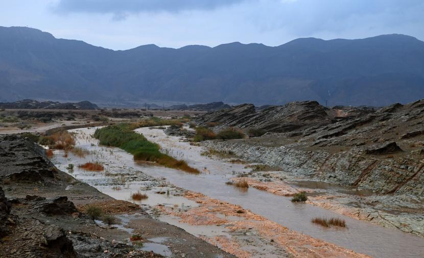 صورة الخبر