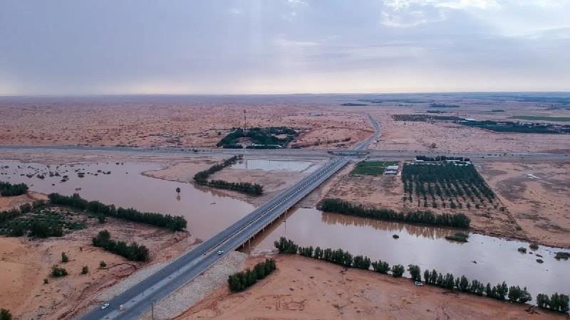 صورة الخبر