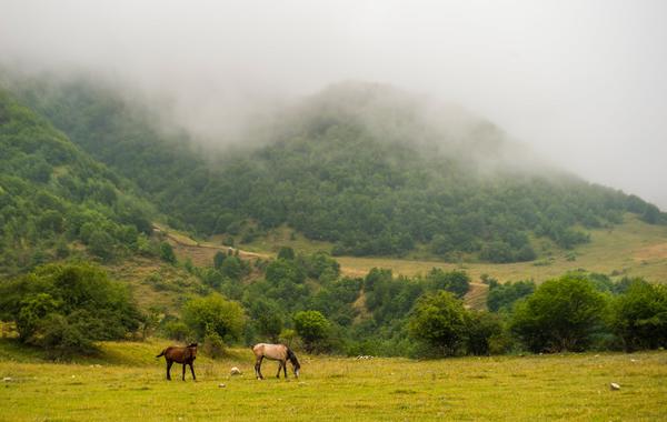 صورة الخبر