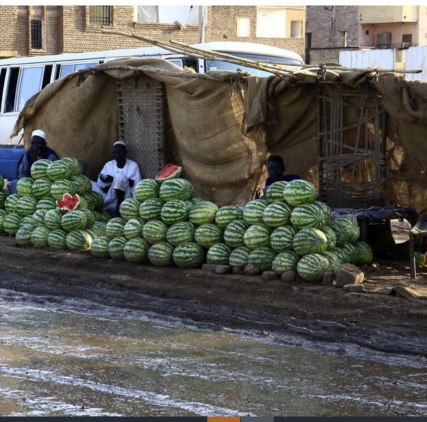 صورة الخبر