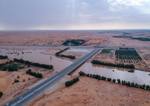 صورة الخبر