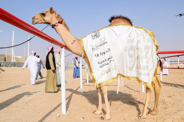 صورة الخبر