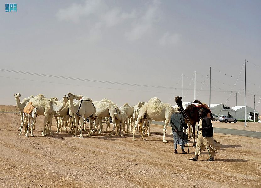 صورة الخبر