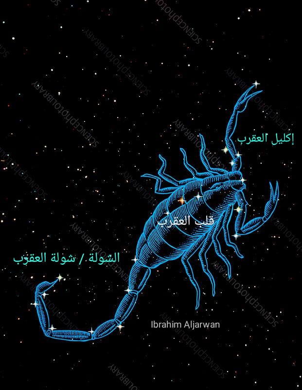 صورة الخبر