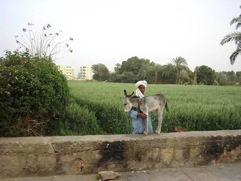 صورة الخبر