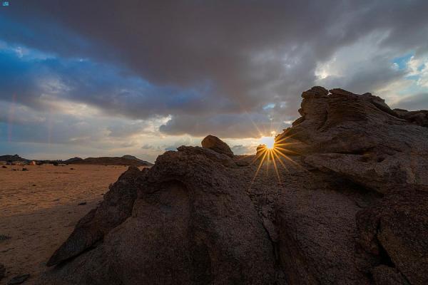 صورة الخبر