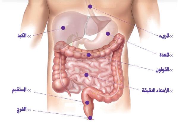 صورة الخبر