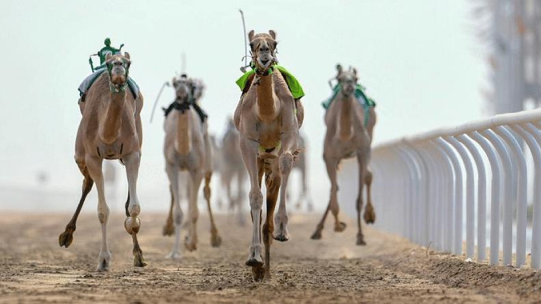 صورة الخبر