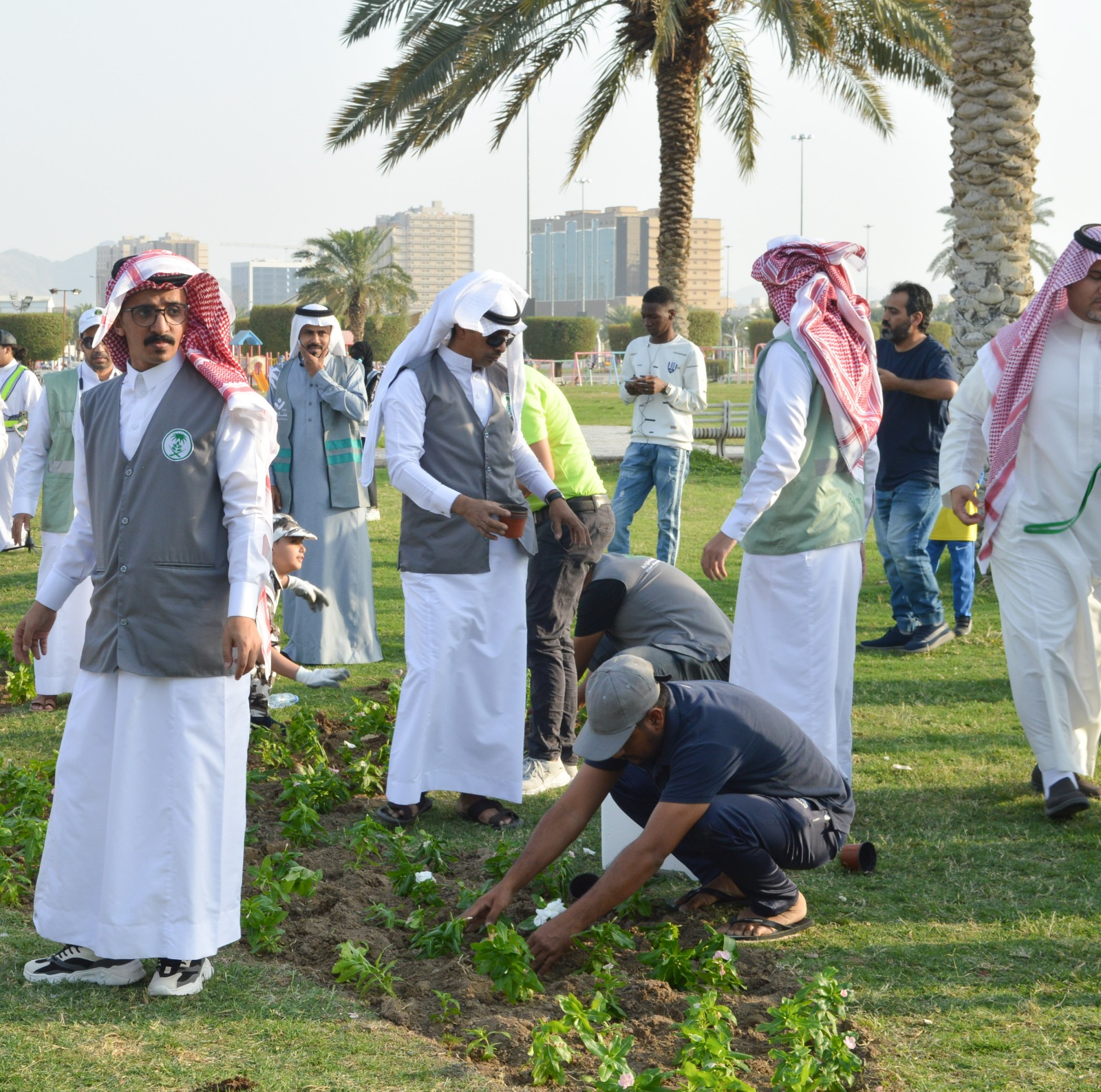 صورة الخبر