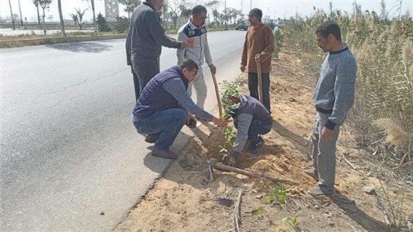 صورة الخبر