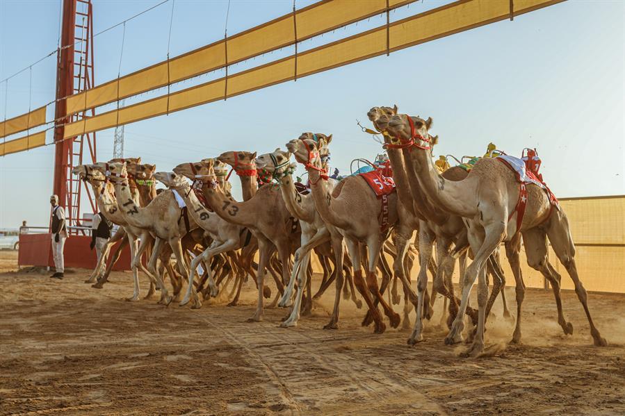 صورة الخبر