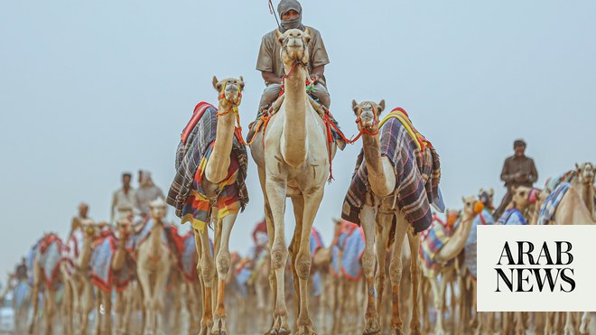 صورة الخبر