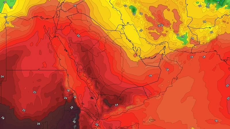 صورة الخبر