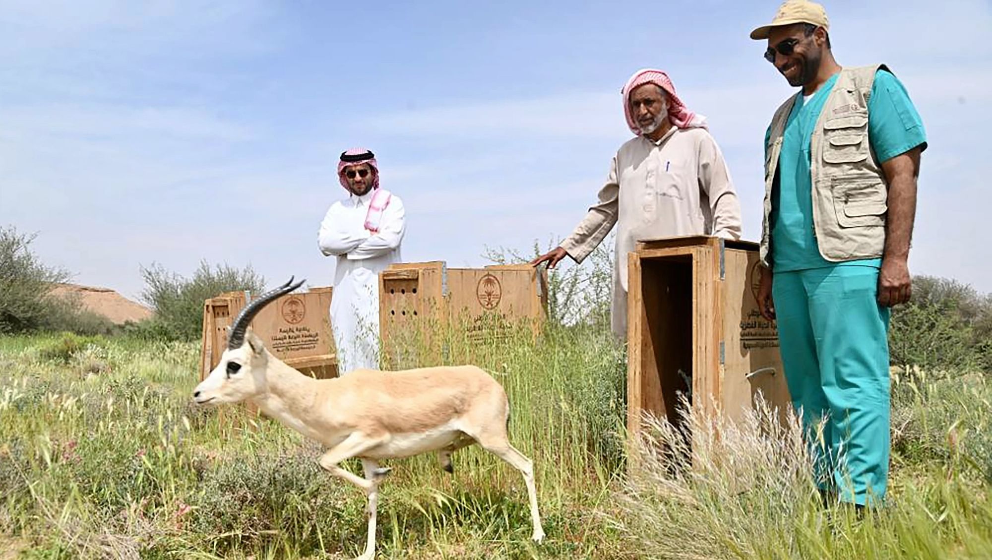 صورة الخبر