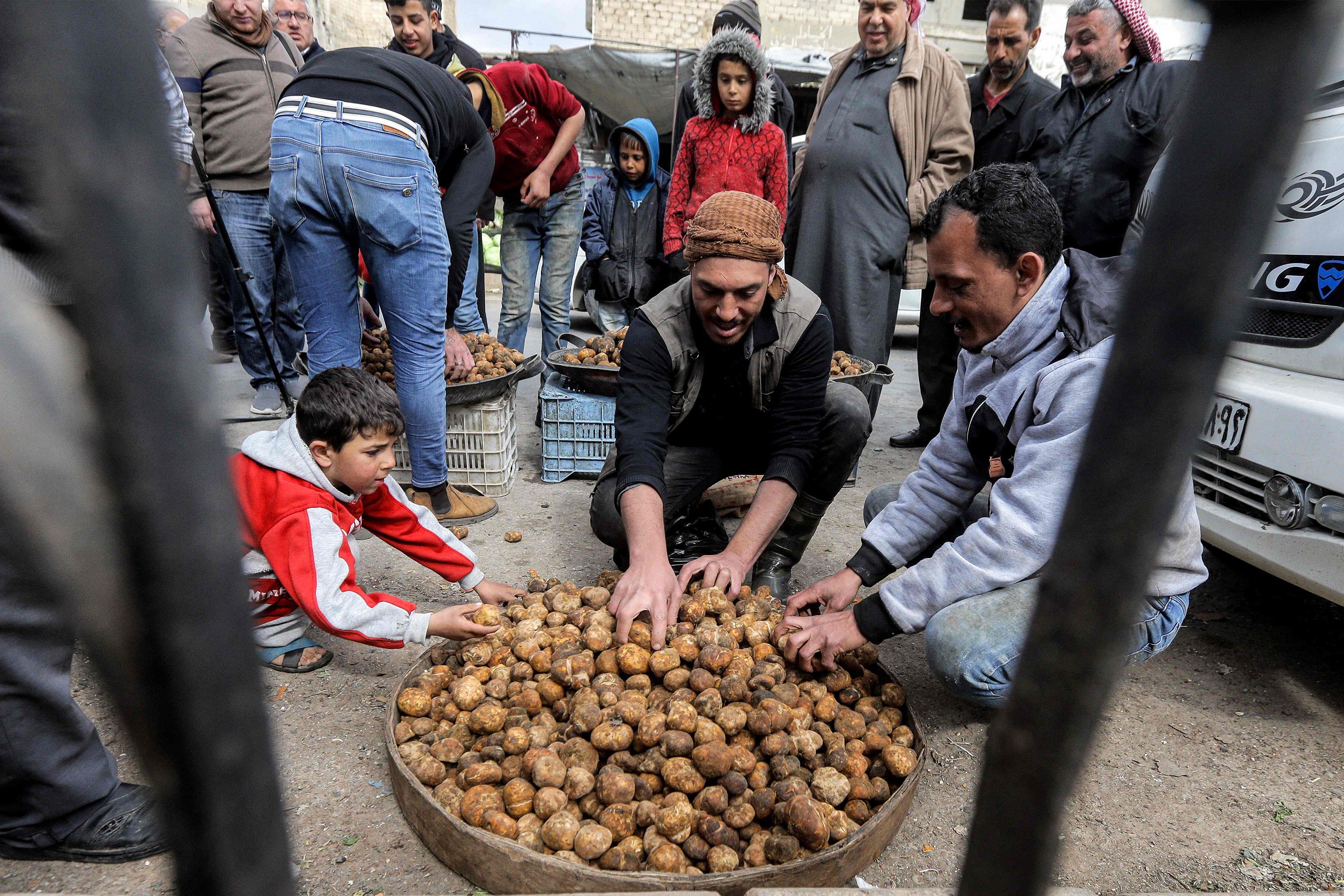 صورة الخبر