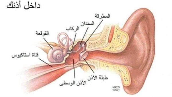 صورة الخبر