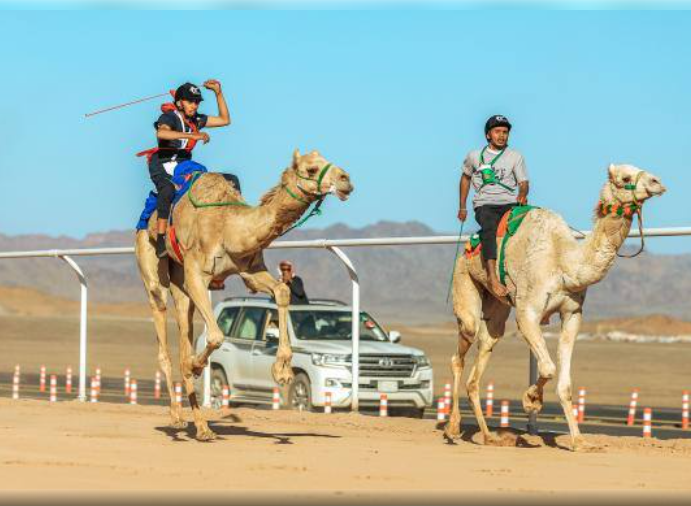 صورة الخبر