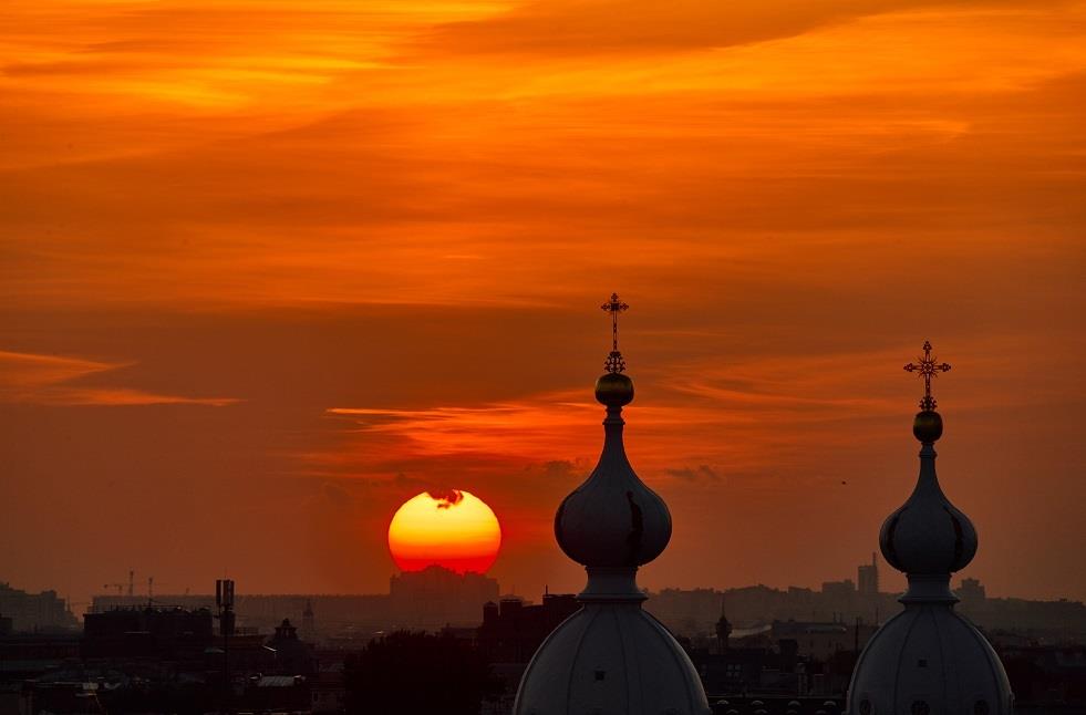 صورة الخبر