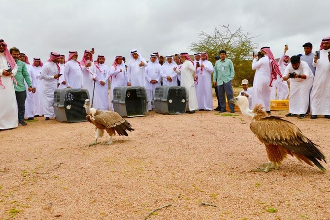 صورة الخبر