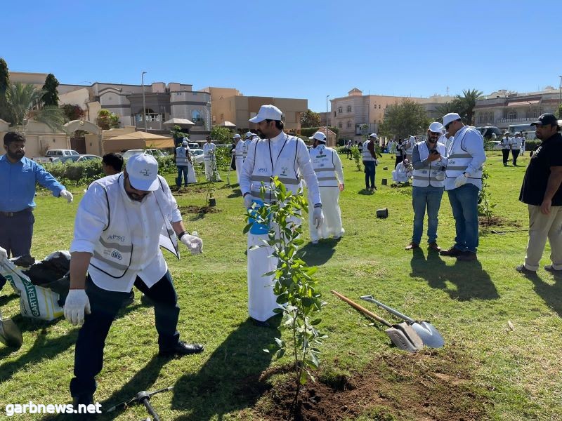 صورة الخبر