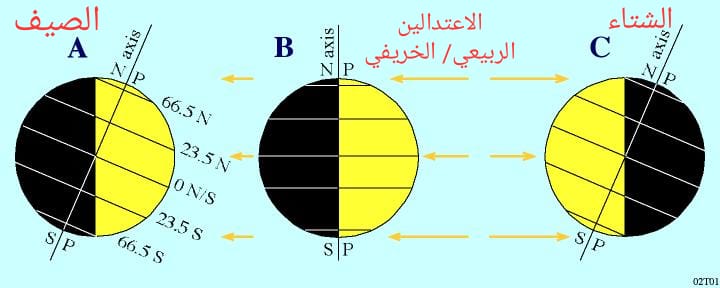 صورة الخبر