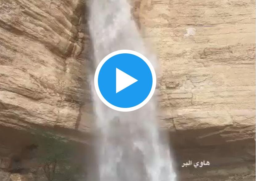 صورة الخبر