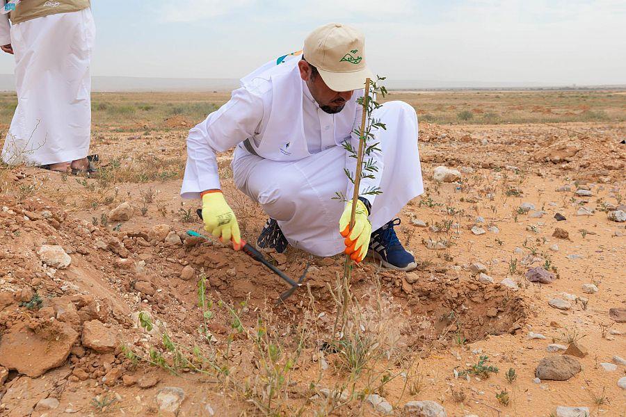 صورة الخبر