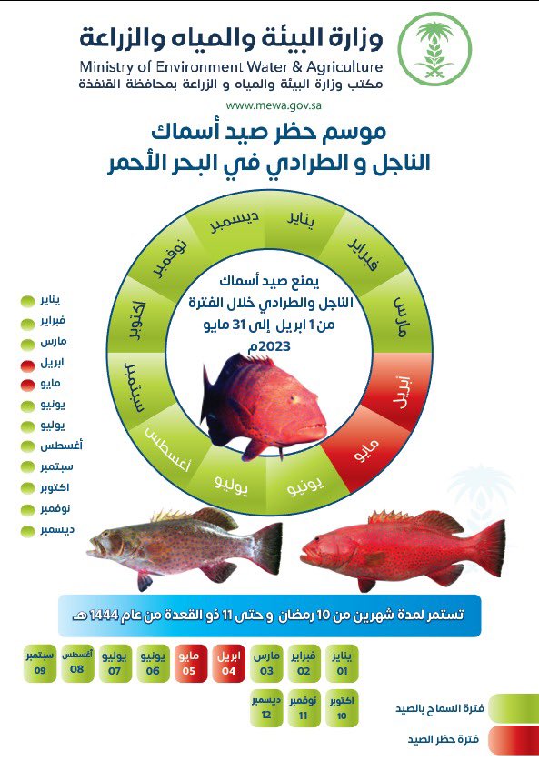 صورة الخبر