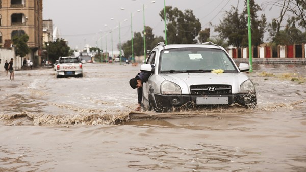 صورة الخبر