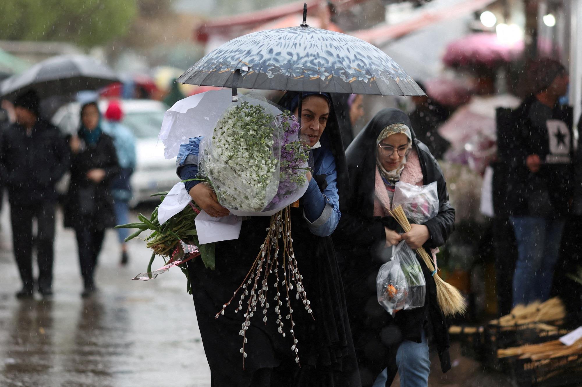 صورة الخبر