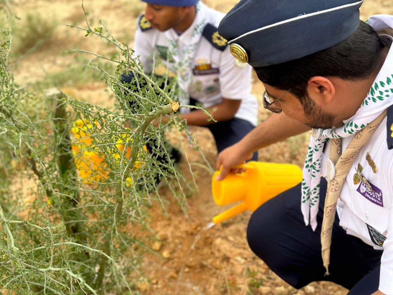 صورة الخبر