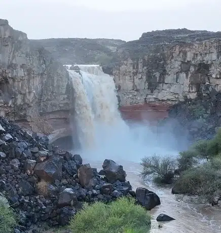 صورة الخبر