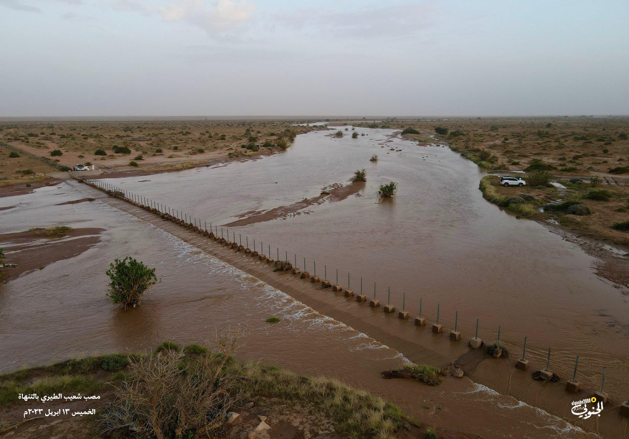 صورة الخبر