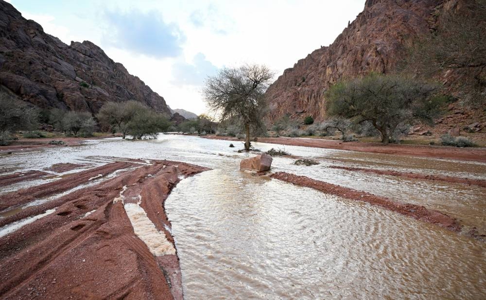 صورة الخبر