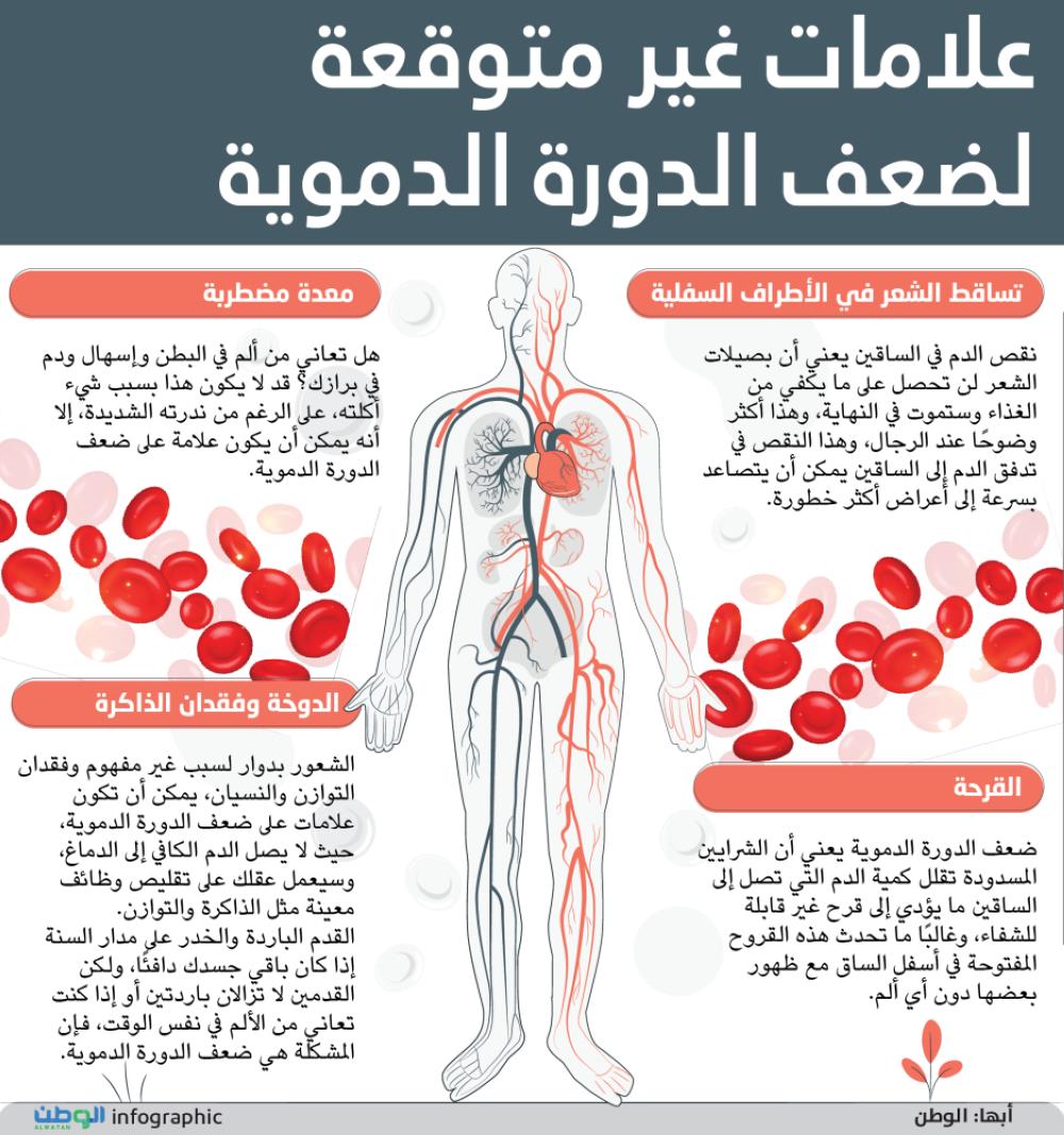 صورة الخبر