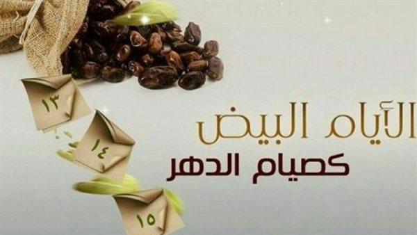 صورة الخبر