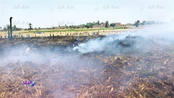 صورة الخبر