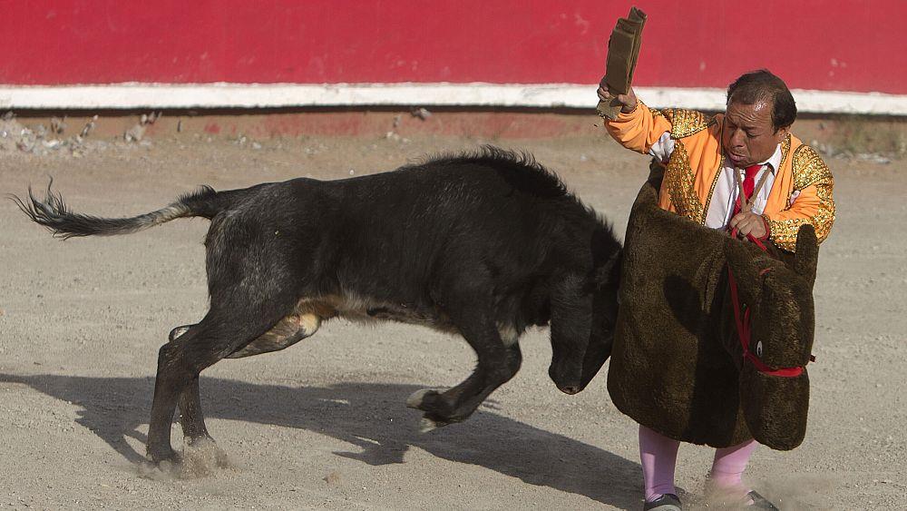 صورة الخبر