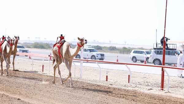 صورة الخبر