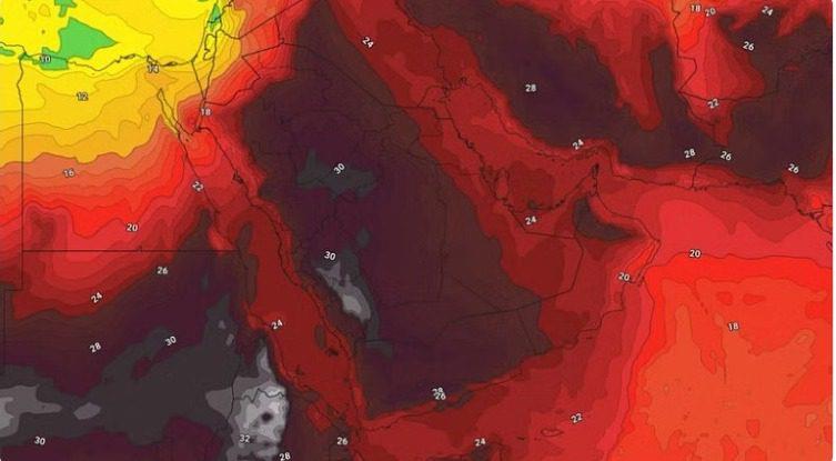 صورة الخبر