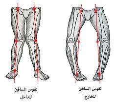 صورة الخبر