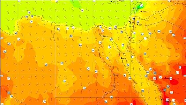 صورة الخبر