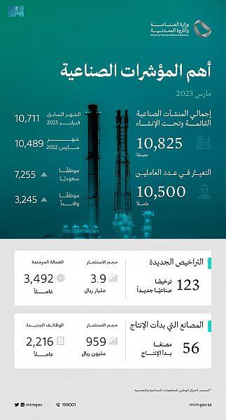 صورة الخبر